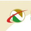 Logo for company Nex Metals Explorations Limited