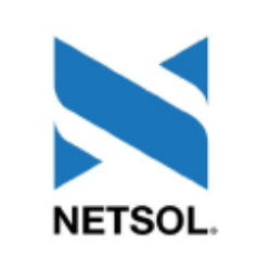 NetSol Technologies, Inc. (NTWK) Ownership