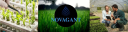Logo for company Novagant Corp.