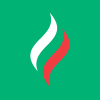 Logo for company PJSC Tatneft