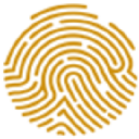 photo-url-https://images.financialmodelingprep.com/symbol/PAFRY.png