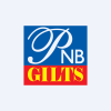 Logo for company PNB Gilts Ltd.