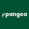 BOIL.CN's stock peer is PNGA.CN (Pangea Wellness Inc.)