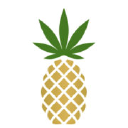 Logo for company Pineapple, Inc.