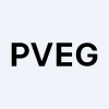 Logo for company Pacific Vegas Global Strategies, Inc.