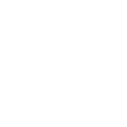 Quanergy Systems, Inc. (QNGY) Financials