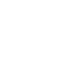 Root, Inc. (ROOT) Financials