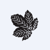 Seasons Textiles Limited