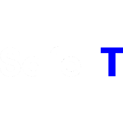 Safe-T Group Ltd. (SFET) Analyst Forecast