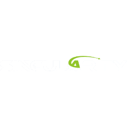 Singularity Future Technology Ltd. (SGLY) Ownership