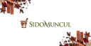 photo-url-https://images.financialmodelingprep.com/symbol/SIDO.JK.png