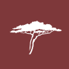 Logo for company Sanu Gold Corp.