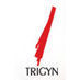 TIMESGTY.NS's stock peer is TRIGYN.NS (Trigyn Technologies Limited)