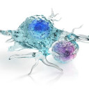 Trillium Therapeutics Inc.