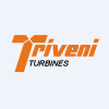 TRITURBINE.NS's stock peer is TRITURBINE.BO (Triveni Turbine Limited)