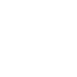 Visa Inc. (V) SEC Filling