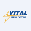GDIG.CN's stock peer is VBAM.CN (Vital Battery Metals Inc.)