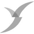 photo-url-https://images.financialmodelingprep.com/symbol/VTRN.png