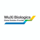ALBHF's stock peer is WXXWY (WuXi Biologics (Cayman) Inc.)