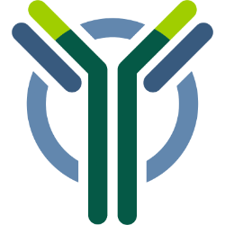 Y-mAbs Therapeutics, Inc. (YMAB) Technical Analysis