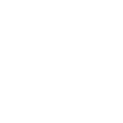 ZM